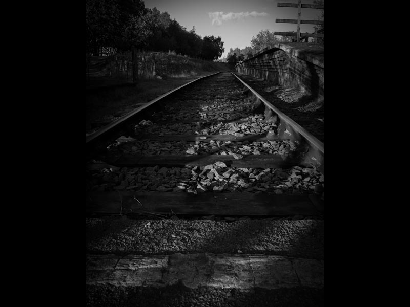 On-the-Right-Track-by-DS.Bailey