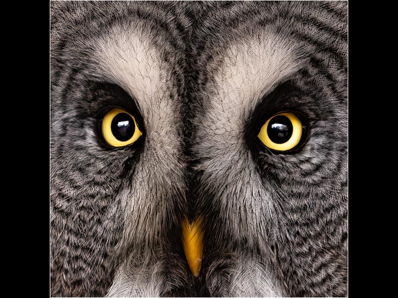 Birds-Eye-View-by-Andy-Sibley-18