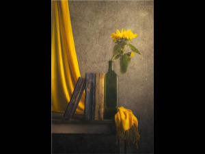 Sun-Flower-by-Dominic-Rodgers-18
